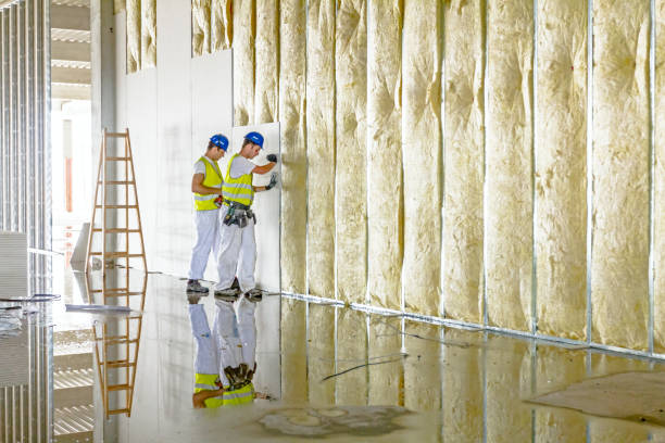 Best Commercial Insulation in Edgerton, KS